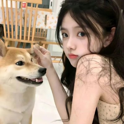 代号猎鹰